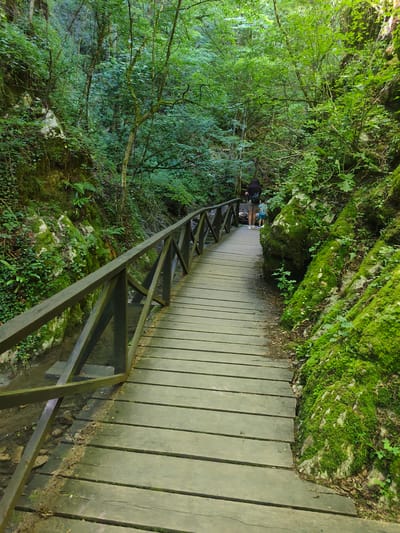The image shows a wooden footbridge winding through a lush, green forest. The bridge is made of weathered planks and has a dark wooden railing. On the bridge, a woman wearing a backpack and shorts is walking with a child in a light blue shirt and shorts. The forest is dense with trees and foliage, and moss-covered rocks line the sides of the path. The scene suggests a natural, outdoor environment, likely a hiking trail or park. Specifically, this path is located in the area of the "Vrachanski karst" region, near the town of Teteven, Bulgaria, which is known for its picturesque natural landscapes and hiking opportunities.