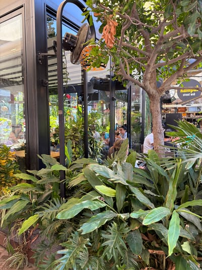 This is a daytime, eye-level, outdoor, full shot of a cafe in Ashdod, Israel, featuring lush greenery in the foreground. A black metal pillar on the left supports a black oscillating fan mounted on an articulated arm. Behind the pillar, large glass windows reveal the interior of the cafe, where several patrons are seated at tables. A tree with a rough trunk and branches extends from the right side of the frame, its leaves obscuring some of the cafe's facade. The cafe's signage, partially visible through the tree, reads "Rampart street wok" in yellow lettering on a circular black background. The overall impression is one of a vibrant outdoor dining space, blending natural elements with urban architecture.