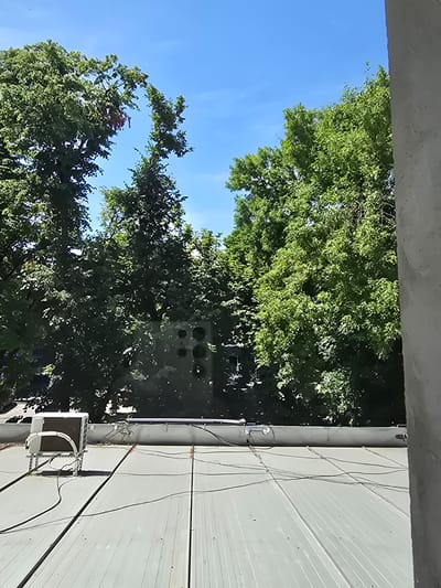 The image shows an outdoor scene, looking up towards trees and the sky from beneath a concrete overhang. Lush green trees with full foliage fill the upper and left portions of the frame, with glimpses of a clear blue sky between the branches. On the right side of the image, a large, light gray corrugated metal wall extends upwards. A grey cylindrical pole runs vertically along the edge of this wall, with wires attached to it. A small, white rectangular unit, possibly an air conditioning condenser, is mounted on the wall to the left of the pole. The scene appears to be during the daytime, under fair weather conditions. The perspective suggests the viewer is looking up from a sheltered position, perhaps an balcony or an opening between buildings. There is no visible text in the image. The location context indicates Edineț, Moldova.