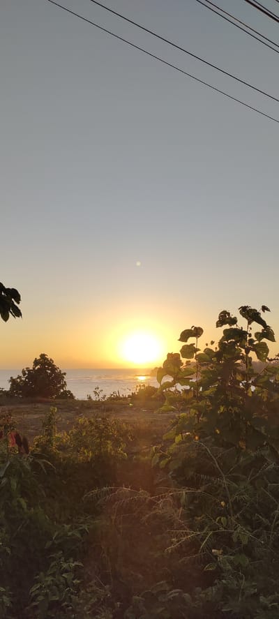 This is a vertical, eye-level, medium shot photograph taken at sunset in Crakmong, Indonesia. The foreground is dominated by lush green foliage, some of which is silhouetted against the vibrant sunset. The middle ground features a body of water, likely the ocean, with the sun setting directly over it, casting a golden and orange glow across the horizon. A small, pale moon is visible in the sky, slightly to the left of the sun. In the distance, there are trees and a hint of land. Overhead, several dark power lines stretch diagonally across the sky. The overall mood is serene and natural. There are no people or animals present in the scene.