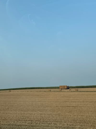 An eye-level, full shot captures a vast, golden-hued field of harvested wheat under a pale blue sky. The field is dotted with several large, round hay bales and a trailer loaded with rectangular bales, being pulled by a red tractor. In the background, a dark green line of trees or crops separates the field from the horizon. The overall impression is of a rural, agricultural landscape on a clear day. The location is Geichlingen, Germany.