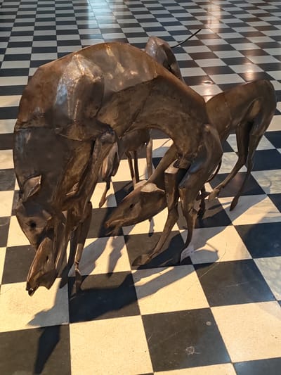 The image shows a metal sculpture of several deer-like animals positioned on a black and white checkered floor. The sculpture appears to be made of welded metal plates, giving it a somewhat rough and unfinished aesthetic. The animals are arranged in a close group, some with their heads bowed as if drinking or grazing. The lighting casts strong shadows across the floor, highlighting the geometric pattern of the tiles and emphasizing the three-dimensional forms of the sculpture. A small tag or label is visible near the base of one of the figures. The location is the Museo Provincial de Bellas Artes Emilio Pettoruti in La Plata, Argentina.