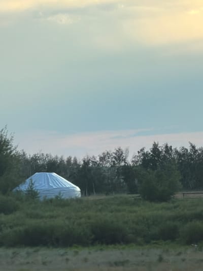 The image depicts a circular structure, possibly a yurt or a temporary shelter, covered with a white tarp. It is situated in a grassy field with a line of trees in the background. The sky above is overcast with soft, diffused light, suggesting either early morning or late evening. The overall scene is serene and rural. The location is identified as the city of Қоянды, Kazakhstan. There are no people visible in the image.