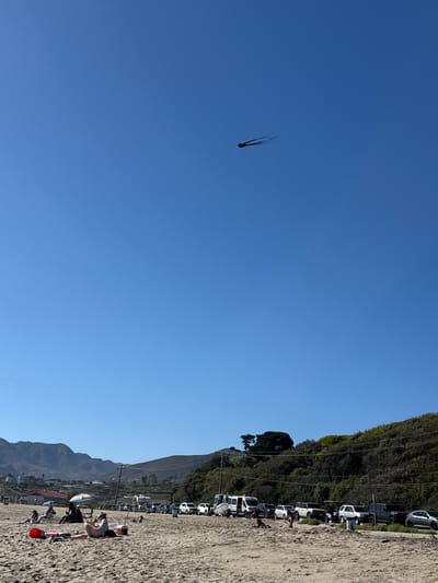 The image depicts a scenic view of a beach in Malibu, California, United States of America, under a clear blue sky. In the foreground, a sandy beach is sparsely populated with a few individuals relaxing. One person is seated on a blanket, reading a book, with a cooler beside them. Another individual is lying on the sand, and a small group is gathered under a colorful umbrella.
Further back, a line of parked vehicles, including SUVs, vans, and a golf cart, are visible along a dirt road adjacent to a densely wooded hillside. The hillside is covered with green trees and vegetation, with a few buildings partially visible amongst the trees. In the distance, rolling hills and mountains form the backdrop to the scene.
Dominating the sky is a dark-colored kite with multiple long streamers, soaring high above the beach. The kite string is faintly visible, extending down towards the left side of the image. The overall impression is one of a peaceful day at the beach, with recreational activities and the natural beauty of the Malibu coastline.