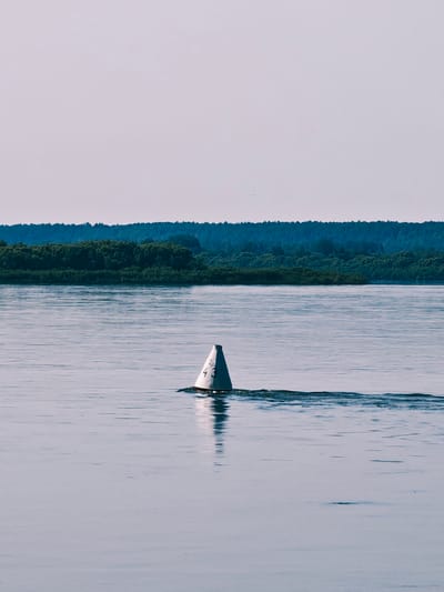 A conical white buoy with the number "43" in black script is partially submerged in calm water, casting a reflection. The buoy is positioned slightly off-center to the right of the frame. A faint wake trails behind the buoy, indicating movement. The water is a muted blue-gray, reflecting the pale sky. In the background, a dense, dark green treeline stretches horizontally across the horizon, forming the edge of a forested area. The sky above is a gradient of pale blue and white, with no visible clouds. The scene appears to be a tranquil outdoor environment. This image was taken in Novonazimovo, Russia.
