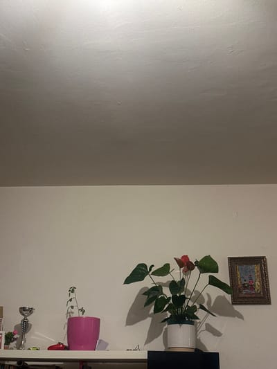 The image displays an interior room, likely a domestic setting, in Stains, France. The upper half of the frame shows a light-colored, textured ceiling, illuminated from the upper left, creating a brighter highlight. The lower half features a light-colored, textured wall. A white horizontal shelf extends across the mid-bottom of the frame, holding several items.
From left to right on the shelf:
1. A silver-colored trophy cup with a reflective finish.
2. A small, green-stemmed plant in a bright pink pot.
3. A small, red object resembling a toy vehicle or car, positioned near the pink pot.
4. A larger Anthurium plant with prominent red, heart-shaped spathes and dark green leaves, contained within a white and light brown two-toned pot. This plant casts a distinct shadow on the wall behind it.
5. A framed rectangular picture, hung on the wall to the right of the Anthurium. The frame is dark-colored and appears ornate. The artwork depicts a small building with a red roof, possibly a house or lighthouse, against a dark, muted background.
A dark-colored, possibly black, piece of furniture is partially visible beneath the right side of the white shelf. No people are present, and no actions or interactions are depicted.