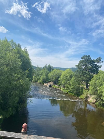 The image shows a wide river flowing through a lush green forest. The sky is a bright blue with scattered white clouds. The riverbanks are lined with trees, and in the distance, there are rolling hills covered in vegetation. In the foreground, a metal railing is visible, with a small, red, spherical object resting on it, near the water's edge. The scene appears to be a scenic natural area. Based on the location provided, this is a view of the river in the settlement of Bolshoy Lug, Russia.