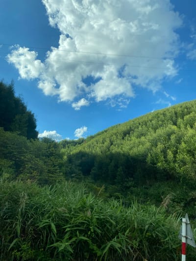 The image depicts a lush, green hillside covered in dense vegetation under a bright blue sky with scattered white clouds. Power lines are visible stretched across the sky. In the foreground, tall grasses and reeds grow thickly. A small, triangular road sign with red and white stripes is partially visible on the right side of the frame. The scene is located in Thôn 18, Vietnam.