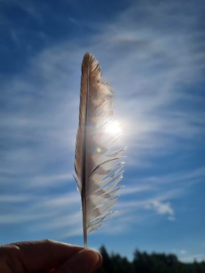 The image shows a single feather held in someone's hand against a bright blue sky with streaky white clouds. The sun is shining through the feather, causing a bright glare. The feather is brown and white, with a distinct quill and feathery barbs. In the background, partially obscured by the feather, is a hint of green foliage, suggesting trees. The setting appears to be outdoors in daylight. There is no information to suggest that this image was taken in Kemul, Russia.