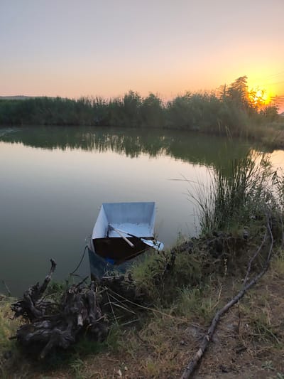 A still, wide shot captures a tranquil pond at sunset in Samsarek, Uzbekistan. The sky transitions from a soft, pale blue at the top to a warm, orange glow as it meets the horizon, with the sun partially obscured by a line of dense green foliage and trees on the right. The water is calm, reflecting the muted colors of the sky and the surrounding vegetation. In the foreground, a metal boat with a white interior and a wooden oar rests near the water's edge. To the left of the boat, a cluster of dark, gnarled roots lies on the dry, grassy bank. The overall scene suggests a quiet, natural setting at the end of the day.