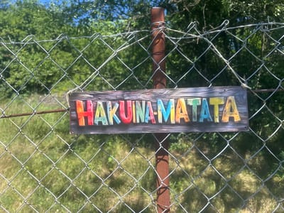 The image shows a colorful wooden sign with the words "HAKUNA MATATA" written on it. The sign is attached to a chain-link fence with barbed wire on top. The fence is supported by a rusty metal post. The background consists of green trees and a blue sky. The scene appears to be outdoors, possibly in a rural or park-like setting. There are no people visible in the image. The sign is the central focus of the image and is positioned horizontally across the frame. The letters on the sign are individually colored and have a slightly textured appearance, suggesting they are made of wood or a similar material. The chain-link fence is a common type of security barrier, and the barbed wire indicates a need for additional deterrence. The rusty post suggests the fence is not new. The overall impression is one of a playful or whimsical decoration in an otherwise functional outdoor space. The image was taken in Kostadinkino, Bulgaria.