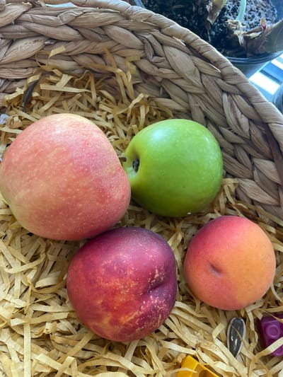 A close-up, high-angle shot shows a woven basket filled with shredded paper filler. Four pieces of fruit are arranged on top of the filler. To the left, a pale pink apple with some red blush is visible. Next to it, to the right, is a bright green apple. In the lower left quadrant, a deep red nectarine with lighter red streaks is positioned. To its right, an apricot with a gradient of orange and pink hues is located. In the bottom right corner, a single sunflower seed and a small purple object are partially visible among the filler. The scene is indoors, with natural light suggesting it is daytime. No specific location in Cahul, Moldova is identifiable from the image.