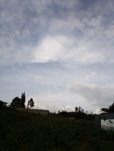 This image, captured in Nachu ward, Kenya, presents a landscape under an overcast sky. The upper two-thirds of the frame is dominated by a light blue sky with scattered white to grey clouds. The foreground consists of a dark, densely vegetated area, appearing as an overgrown field or hillside.
In the midground, a diverse array of elements is present. On the far left, a portion of a dark-roofed structure is partially visible. Adjacent to it, several trees stand, including a tall, slender tree with dark foliage and a shorter, broader tree. A light-colored block or concrete wall structure, approximately 1.5 meters high, traverses horizontally, featuring a few vertical white and red striped markers. Beyond this wall, the terrain rises into a densely wooded hillside covered with numerous trees and green foliage.
On the far right of the midground, a structure composed of corrugated metal siding is visible, displaying faded light blue and white sections with indistinct markings. A small plant appears to be growing against its surface. No individuals or discernible activities are depicted. The scene is illuminated by diffused, overcast light, with the foreground appearing underexposed.