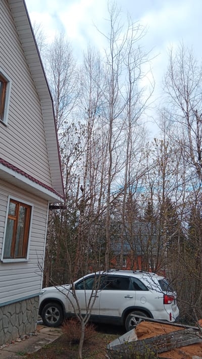 The image depicts an outdoor scene in Былина Снт, Russia, likely during early spring. On the left, a portion of a residential house is visible, featuring light beige vinyl siding, a steep roof with dark reddish-brown trim, and white eaves. The house has wooden-framed windows and a grey, stone-patterned foundation.
A white SUV, appearing somewhat dirty and possibly a Kia Sorento, is parked in the mid-ground on a patch of dirt and sparse grass, partially obscured by small, bare trees and bushes. The SUV has roof rails.
The background is dominated by a dense cluster of tall, slender deciduous trees, mostly bare-branched, but with faint green buds and young leaves beginning to emerge, indicating the transition from winter to spring. The sky above is cloudy, with patches of light blue showing through. Through the bare tree branches, another building with a red roof can be faintly seen in the distance. In the lower right foreground, a pile of earth or construction debris is visible. No people or visible text are present.
