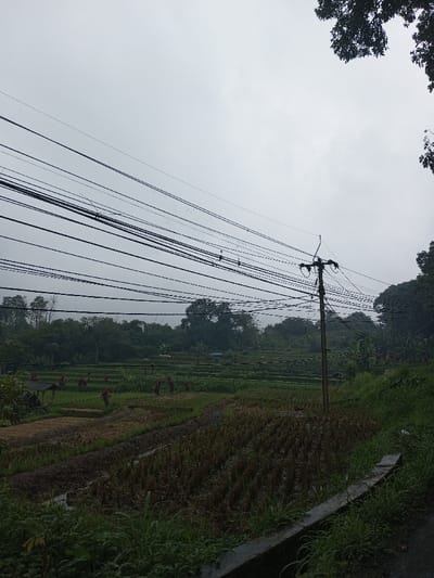 The scene depicts an agricultural landscape under a uniform light grey, overcast sky, located in the city of YonPhoogla, Bhutan. In the foreground, a concrete curb marks the edge of a path or road on the lower right, bordered by green grass and weeds. To its left lies a field characterized by brown stubble and muddy patches. The mid-ground features multiple tiers of green terraced fields. Within these fields, approximately 8-10 individuals, many distinguished by red or dark head coverings, are observed dispersed and engaged in agricultural work. A small, open-sided shelter with a dark roof is visible on the far left of the terraced area. A wooden utility pole, slightly right of center, extends vertically, supporting numerous black utility wires that crisscross horizontally across the upper-mid portion of the image. The background consists of a dense, dark green tree line, indicating forested terrain. Dark green tree foliage is also present in the upper right corner of the frame.
