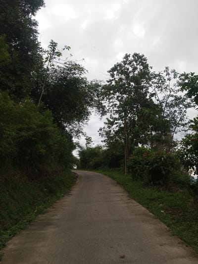 A concrete road, approximately one lane wide, extends and curves gently uphill to the left, receding into the distance within Hasanparthy mandal, India. Dense, verdant foliage, consisting of various trees, shrubs, and grasses, borders both sides of the pathway. On the left, the terrain rises steeply with abundant vegetation. On the right, a mix of trees, including one prominent taller specimen, and bushes with some reddish foliage or blossoms are visible, along with a slender dark pole positioned near the road's edge. The sky overhead is overcast, presenting a uniform grey with discernable cloud formations. No individuals, animals, or vehicles are present.