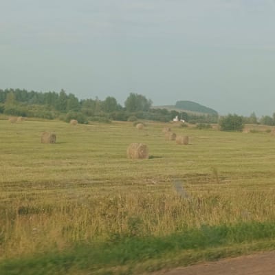 The image depicts a landscape scene in Novyi Aktanyshbash, Russia. A field of mown grass is dotted with numerous round hay bales. In the background, a line of trees forms a natural border against a hazy sky. The ground in the foreground is covered with dry grass, with a strip of green grass along the very bottom edge of the frame. The overall impression is one of rural serenity and agricultural activity.