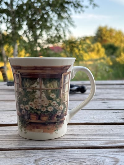 The image shows a mug with a painting of daisies visible through a window, resting on a wooden surface. The mug has a white handle and a detailed illustration of a window with white daisies and greenery. The background is blurred, showing trees and a bright sky, suggesting an outdoor setting. The wooden surface appears to be part of a deck or fence, with visible grain and texture. The lighting suggests it might be daytime, with soft natural light. The image is oriented vertically. There is no visible text in the image. The location context is Радваніцкі сельскі Савет, Belarus.