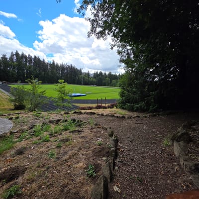 The image depicts an outdoor scene featuring a running track and a sports field, surrounded by trees and a cloudy blue sky. In the foreground, there is a dirt path with scattered rocks and some sparse vegetation. Beyond the path, a running track encircles a green field. A blue mat is visible on the field, possibly related to athletic equipment. Trees line the background, and in the distance, buildings and light poles can be seen. The overall environment suggests a park or a sports facility. No people or specific actions are evident in the image. The scene is rendered in daylight with ample natural light.