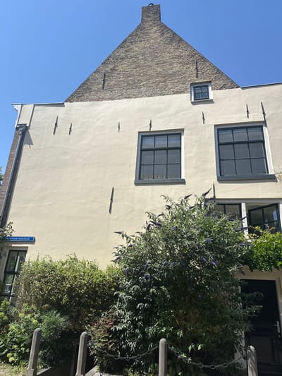 This media file features an angled view of a building facade with a bright blue sky. The building is constructed with a light-colored stucco on its main body and a brick facade on the sloping gable. Several windows with dark frames are visible, two on the upper part of the stucco wall, and one smaller window on the brick gable. Metal tie rods protrude from the stucco wall. A lush green bush with purple flowers is growing in front of the building, partially obscuring a section of the wall and a dark-colored door or window. A blue street sign with white text is mounted on a pole in the foreground, mostly obscured by the foliage. The overall impression is of a sunny day in a European urban or suburban setting, likely a residential area given the architecture and the presence of a street sign. No people are visible. The time of day appears to be daytime, with clear weather indicated by the bright sky. The street sign's text is partially visible and appears to be in Dutch, hinting at a location in the Netherlands, specifically Zwolle.