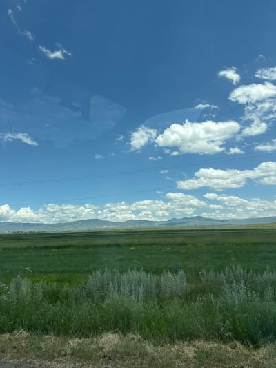 This is a landscape photograph taken in Azatan, Armenia, likely from a moving vehicle due to the reflections visible on what appears to be a window. The scene depicts a wide, open field of lush green grass under a bright blue sky dotted with fluffy white clouds. In the distance, a range of mountains forms the horizon, with some hints of buildings and trees scattered along their foothills. Two parallel, thin black lines, possibly power lines, stretch across the sky. The foreground is dominated by tall, feathery green grass and some dried brown grass at the very bottom, with small wildflowers interspersed throughout.