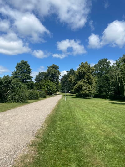 The image shows a paved path curving through a park with lush green grass and mature trees. The sky is bright blue with scattered white clouds. A lamppost stands beside the path. The scene appears to be located in Horsens, Denmark.