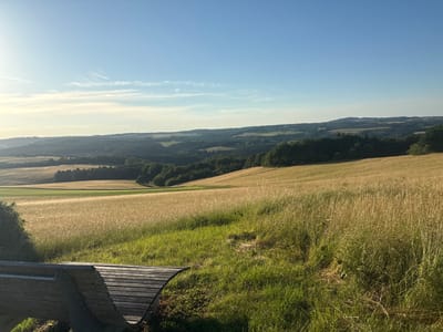 This image depicts a sunlit landscape in Wershofen, Germany, featuring rolling hills covered in fields of golden wheat and green grass. In the foreground, a weathered wooden bench with a curved seat is positioned on a grassy incline, with a hint of signage visible on its left leg. The background showcases a valley dotted with trees and scattered houses, leading to a distant, hazy horizon under a clear blue sky with wispy clouds. The sun is setting on the left side of the frame, casting long shadows and illuminating the scene with warm light.