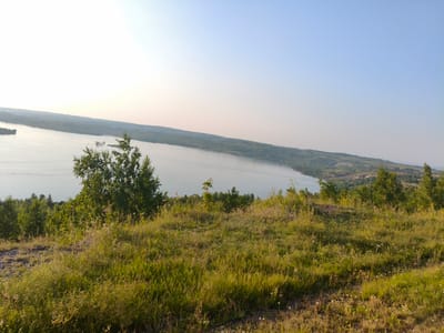 The image depicts a panoramic view of a wide, calm river under a clear blue sky. The foreground is dominated by a grassy hillside covered in dry grass and small white wildflowers, with a few scattered rocks. A large, leafy green tree stands prominently on the left side of the hillside, obscuring a portion of the view. In the middle ground, the river stretches out, with a small, sandy island visible in the center. The opposite bank of the river is lined with a dense green forest that extends into the background, where rolling hills and more distant vegetation can be seen. The scene appears to be a natural landscape, possibly a scenic overlook, with no people or man-made structures immediately apparent. The location is identified as the city of Veselyy, Russia, suggesting this is a view of a river within or near that area.