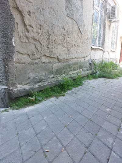 The image depicts an outdoor scene along a textured concrete wall and a paved walkway. The wall, on the left, is rough and shows signs of weathering and damage, with large patches of plaster missing and rough, uneven surfaces underneath. A window with decorative metal bars is visible near the top of the wall, reflecting trees and sunlight. An air conditioning unit is mounted above this window.
To the right of the wall, a narrow strip of green grass and weeds grows in a shallow channel or drain. This vegetation creates a stark contrast with the surrounding concrete structures. Beyond the vegetation, a paved walkway made of square grey tiles stretches diagonally across the frame, disappearing into the distance. The tiles are laid in a regular pattern. A few cigarette butts are visible on the walkway, suggesting recent human activity.
The overall impression is one of an urban or semi-urban environment, possibly a back alley or a less maintained area. The lighting suggests it is daytime, with bright sunlight casting some shadows, though the specific time of day is not clearly discernible. The weather appears to be fair. There is no visible text in the image. The scene conveys a sense of everyday life, with the presence of both man-made structures and encroaching nature.