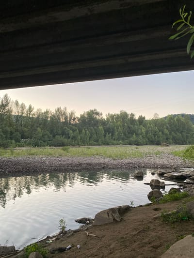 The image depicts a serene riverside scene under a bridge, likely in Khust, Ukraine. The left side of the frame is dominated by the underside of a concrete bridge structure, casting a dark shadow. Beyond the bridge, a tranquil body of water stretches to the right, reflecting the overcast sky and a dense line of lush green trees that form a natural backdrop. The water's surface is rippled, suggesting a gentle breeze.
Along the water's edge, a narrow strip of gravel transitions to a sandy bank dotted with rocks and sparse vegetation. Some discarded items, including what appear to be cans or bottles, are visible on the bank, indicating human presence or past activity. In the distance, on the far bank, the trees create an unbroken wall of green, with a few taller trees breaking the uniform canopy. Overhead, thin power lines are visible against the pale sky.
The lighting suggests it might be late afternoon or early morning, with soft, diffused light. The overall mood is peaceful and natural, with a slight somberness due to the overcast sky and the shadowed bridge. No people are visible in the frame, and no text is discernable. The scene captures a moment of quietude at the intersection of nature and human infrastructure.
