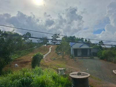 The image depicts a slightly overcast day in Thôn 2, Vietnam. In the foreground, tall, vibrant green grass grows densely. To the right, two large wooden spools, one with black cabling, are situated on a gravelly path. The path leads uphill towards a residential area. On the left side of the path, a mound covered with a light-colored tarp or fabric is visible. Further up the hill, a winding dirt path ascends towards two buildings. The building on the right is a light-colored, single-story house with a blue roof and a covered porch. The building on the left is partially obscured by trees but appears to be a similar style of house. The landscape is characterized by a hilly terrain with scattered trees and vegetation. Overhead, power lines are strung across the frame, and the sun is faintly visible through thick clouds.