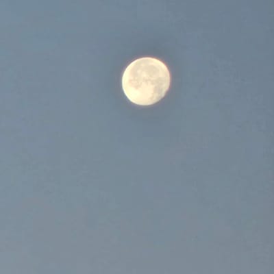 The image shows a full moon against a clear, light blue sky. The moon is the primary subject and is positioned in the upper center of the frame. It is illuminated and shows some surface details, appearing slightly yellowish. The sky is a uniform, pale blue, suggesting daylight or twilight conditions. There are no other visible objects or features in the image, and it does not provide any information about a specific location in Gurb, Spain.