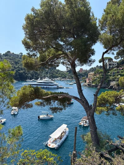 An overhead view showcases the harbor of Portofino, Italy, a coastal village known for its picturesque scenery. The tranquil, azure water is dotted with various vessels, including a large white yacht, sailboats, and smaller speedboats. Lush green trees and vegetation frame the scene, with colorful buildings clinging to the hillside in the background. The sky above is a clear, bright blue, indicating a sunny day.