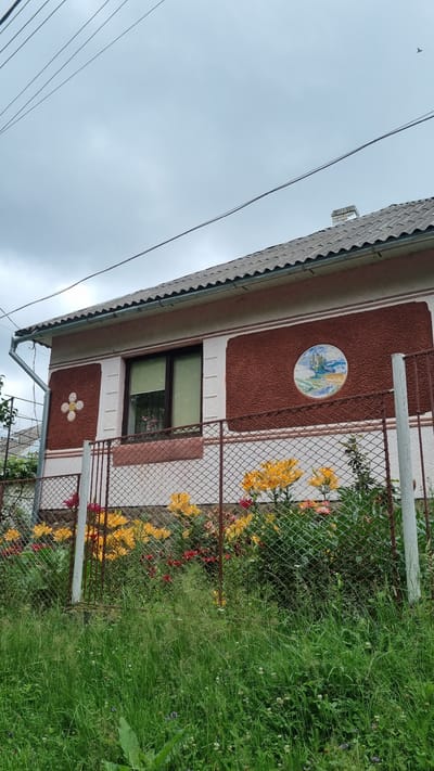 The image shows a section of a house with a brown textured facade and a pink trim. A circular decorative mosaic depicting a landscape scene is affixed to the facade above a window. Below the window, another decorative element resembling a four-petaled flower is visible. A chain-link fence runs along the front of the property, separating it from a lush green grassy area with wildflowers. Yellow and red flowers are blooming along the fence line, adding a splash of color to the scene. The sky is overcast, suggesting a cloudy day. Electrical wires are visible in the upper left portion of the image, and a bird is flying in the distance. The overall setting appears to be a residential area in Vyshka, Ukraine, likely during daytime. There is no visible text in the image.