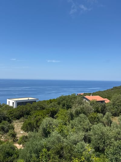 This is an outdoor, eye-level, wide shot of the Adriatic Sea and a coastline from a hillside in Krimovice, Montenegro. The image is dominated by a clear, vibrant blue sky with a few wisps of clouds. The sea stretches across the middle ground, a deep, textured blue with a gentle horizon line. The coastline on the right is a lush, green expanse of dense trees and bushes, sloping down towards the sea. Two modern houses are visible nestled within the greenery. On the left, a white house with a flat, light-colored roof and dark gray accents stands out. To the right, a house with a traditional red-tiled roof peeks through the trees. The foreground consists of more dense vegetation, primarily olive trees with their characteristic silvery-green foliage. The overall impression is one of serene natural beauty and modern architecture integrated into the landscape.