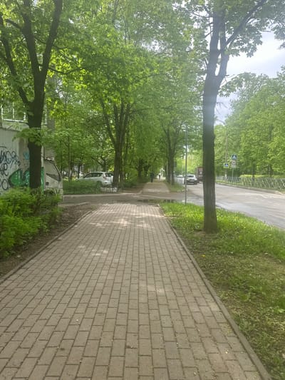 The image depicts a street scene in Selyatino, Russia. A paved sidewalk runs along the right side of the frame, adjacent to a green grassy area and a tree line. The sidewalk's bricks are light gray. Trees line the left side of the sidewalk, creating a canopy of green leaves overhead. A road is visible beyond the trees on the left, with at least two cars parked or driving on it. A pedestrian crossing sign is seen. Graffiti is visible on a concrete structure near the bottom of the image. The sky is overcast. There is no visible presence of people.