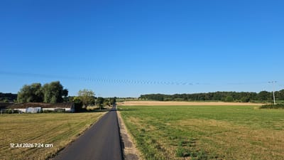 The image depicts a rural scene in Hainchen, Germany, on July 12, 2026, at 7:24 AM. A paved road stretches into the distance, flanked by green fields on the right and a grassy field with some structures on the left. In the background, a dense line of trees forms the horizon. Overhead, power lines are visible, and a faint contrail from an aircraft can be seen in the clear blue sky. The overall impression is one of quiet and tranquility in a natural setting.