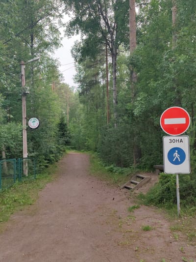 The image shows a dirt path in a forested area, likely in Zashchita, Russia. The path is flanked by dense green trees and foliage. On the left side of the path, there is a green metal fence and a wooden pole with a circular sign displaying palm trees and text in Russian, possibly indicating a protected or nature zone. Further down the path on the left, a street light is visible on a pole. On the right side of the path, two traffic signs are mounted on a pole. The top sign is a red circle with a horizontal white bar, indicating "Do Not Enter" or "No Entry." Below it is a rectangular white sign with the word "ЗОНА" (ZONA, meaning "ZONE" in Russian) and a blue circle containing a white silhouette of a person walking, signifying a pedestrian zone. A small wooden step or ladder is visible next to the signs, leading slightly off the path. The ground is covered with dirt, scattered pinecones, and some small plants. The sky is overcast. There are no people visible in the image.