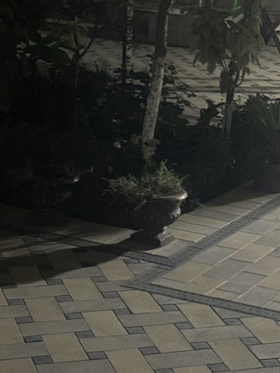 The image depicts an outdoor scene at night, likely in a city. The foreground is dominated by a paved walkway with a geometric pattern of light and dark rectangular stones. A dark shadow from an unseen object stretches across the walkway from the left. In the mid-ground, a large, dark urn containing green foliage sits on a raised base. Behind the urn, shadowy trees and bushes are visible, with some of their leaves catching faint light. The background is a dark, indistinct area, possibly indicating more greenery or a building. The overall impression is of a dimly lit, possibly urban outdoor space, such as a park or courtyard. The location specified as Khistevarz, Tajikistan, suggests a context for this nocturnal scene.