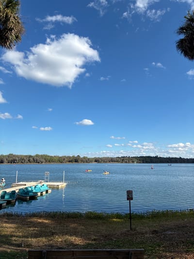 The image depicts a daytime scene at a lake near Micanopy, United States, likely Lake Wauburg. The sky is clear blue with scattered white cumulus clouds. In the foreground, dry grass covers the ground, with aquatic vegetation at the water's edge. A partial view of a wooden park bench is present at the bottom, and a pole with a red and white "WARNING" sign, partially obscured, stands in the mid-right foreground.

On the left side of the midground, a light-colored wooden floating dock extends into the lake, where multiple teal-colored paddle boats and at least one white boat are moored. Various individuals are engaged in water activities across the lake. Two people in yellow kayaks and one person in a red kayak are actively paddling. Further right, a person is on a stand-up paddleboard featuring a red and white striped element, and another small boat is visible with a person inside. A small sailboat with a white sail is visible in the distant background.

The far background consists of a dense treeline forming the opposite shore of the lake, displaying a mix of green and bare branches. Portions of dark green palm fronds frame the upper left and upper right corners of the image. The lake water is calm with visible ripples, reflecting the blue sky.
