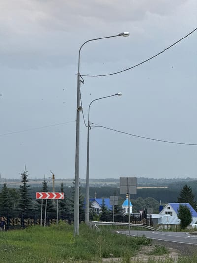 The image depicts a rural roadside scene in or near Чурачики, Russia, under an overcast sky. Two tall streetlights stand prominently in the foreground, with electrical wires strung between them. A directional road sign with chevron markings indicates a curve to the right. Behind the sign, a black metal fence with decorative yellow elements runs along the edge of a grassy area. Several coniferous trees are visible, some of which are part of a fence line. In the middle ground, a few residential buildings with distinctive blue roofs and a white structure with a blue dome, possibly a church, are present. The background shows a landscape of rolling hills and distant trees. A person in dark clothing is partially visible on the left side of the frame near the fence. The road in the foreground curves out of view.