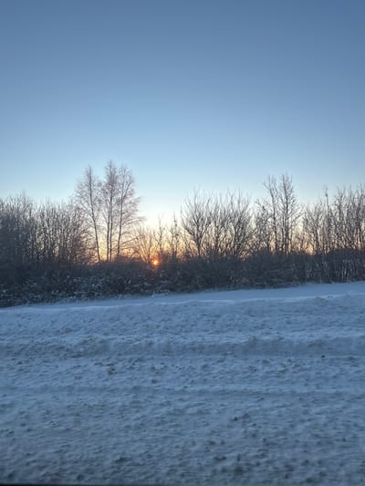 A winter scene shows a landscape with snow-covered ground on the right. Bare trees form a dark silhouette against a pale blue sky. A small, bright spot suggests the setting sun. The image is vertically oriented, with the sky taking up the left and upper portions. The overall impression is one of cold, quiet, and a serene winter sunset.