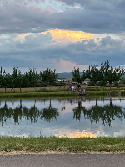This image, set in Doganovo, Bulgaria, depicts a serene rural landscape, likely captured during either sunrise or sunset, given the warm, golden light piercing through the clouds. A wide, tranquil body of water stretches across the middle of the scene, acting as a natural mirror for the sky and the opposite bank.
On the far side of the water, a lush green bank is lined with a row of deciduous trees, their foliage a vibrant dark green. Behind these trees, a landscape of fields extends towards distant, gently rolling hills or mountains. Amongst the trees and further into the field, some indistinct structures or fences are visible. In the immediate foreground of this bank, near the base of a tree, a few people are present. One individual in dark clothing appears to be seated or crouching, while another in blue is further back. They seem to be relaxing or engaging in a quiet outdoor activity by the water. A bright green barrel or container is also noticeable behind the trees.
The sky overhead is predominantly cloudy, featuring soft grey and blue tones. A striking golden-orange light streams through a dramatic break in these clouds, indicating the low angle of the sun. This radiant light is beautifully reflected in the calm waters below, creating a captivating and symmetrical visual effect.
To the immediate right of the water, a narrow strip of green grass borders an asphalt road that runs along the very edge of the frame. The surface of the water shows some subtle ripples, slightly distorting the reflections in places, but largely maintaining its mirror-like quality. The overall impression is one of peaceful natural beauty in the Bulgarian countryside. No visible text is present in the image.