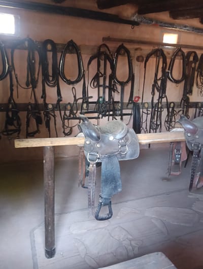 The image shows the interior of a stable in Tías, Spain. Horse saddles are displayed on a wooden rack, with multiple bridles and other equestrian gear hanging on the wall behind the saddles. The stable has a rustic appearance with wooden beams and a faded paint color on the walls. Light enters the stable through a small window. The floor is a neutral color.