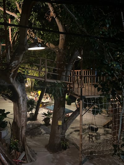 This media file depicts an outdoor dining scene at night, with a focus on lush vegetation and a rustic, treehouse-like ambiance. In the foreground, a large, gnarled tree trunk dominates, its textured bark illuminated by subtle lighting. A wooden ladder, constructed from thick branches and slats, leans against another substantial tree, hinting at the elevated nature of the setting.

Further into the scene, a group of people are gathered around tables, engaged in dining and conversation. They appear relaxed and are enjoying the evening. The lighting is warm and ambient, primarily coming from strategically placed lamps and possibly the glow from the tables themselves, creating an intimate atmosphere. Soft shadows are cast by the trees and structures.

The background reveals more of the environment, including a netted structure that suggests part of a playground or a decorative element, adding to the whimsical, natural feel. The architecture visible in the distance is simple, with muted colors, and the overall impression is that of a casual, charming establishment. The time of day is clearly night, given the artificial lighting and darkness. The location cues, combined with the open-air dining and tropical foliage, are consistent with a setting in Hoi An, Vietnam. There is no visible text in the image. The overall mood is serene and inviting, suggesting a pleasant evening gathering.