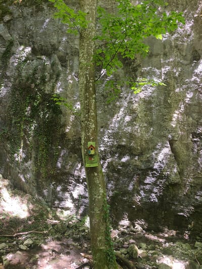 A vertical shot captures a tree with a colorful birdhouse attached to its trunk, set against a backdrop of a large, moss-covered rock face. The birdhouse, painted in vibrant hues of yellow, red, and blue, is positioned on the right side of the tree. Ivy vines cascade down the rock face, adding a touch of green to the gray stone. The ground below is littered with rocks and branches, and a shallow stream trickles through the scene. Sunlight filters through the leaves of the tree, casting dappled shadows on the rock and ground. The scene appears to be located in the vicinity of the town of Teteven, Bulgaria, possibly within a natural park or forest area. The overall impression is one of a serene and picturesque natural setting.