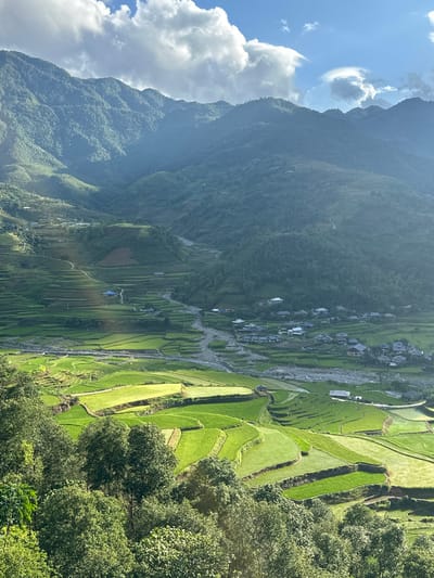This detailed image depicts a vast mountainous agricultural landscape in Tú Lệ, Vietnam. The scene is dominated by layers of heavily forested mountains in the background, receding into the distance under a partly cloudy blue sky, with sunlight highlighting the peaks and casting shadows into valleys.

The mid-ground and foreground showcase an extensive network of vibrant green terraced rice fields, varying in size and shape, meticulously carved into the hillsides. Many terraces contain standing water, reflecting the sky and light. A winding, shallow river or stream with a rocky bed flows through the central valley, bordered by some of these rice paddies.

Scattered throughout the valley and nestled among the terraces are clusters of single-story residential structures, characterized by dark or blue-grey roofs, forming small villages. One distinct house with a bright blue roof stands out centrally within the terraced fields on the left side of the river. Unpaved paths or small roads are visible traversing the terraced landscape and connecting areas within the valley. The immediate foreground features dense, dark green foliage and trees, partially obscuring the lower portions of the terraces. The entire scene is illuminated by strong, clear sunlight, creating distinct light and shadow patterns across the landscape. No people or specific actions are discernible.