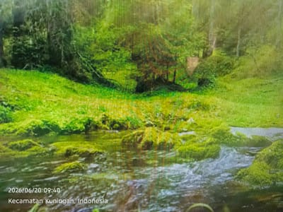 The image depicts a natural landscape with a focus on a body of water flowing through a lush green environment. The water is relatively shallow and clear, with moss-covered rocks and vegetation visible along its edges and within the stream itself. The surrounding area is characterized by dense green foliage, likely trees and grass, suggesting a forest or park-like setting. Sunlight filters through the trees, illuminating parts of the scene with a warm glow.
In the lower left corner of the image, text overlays the scene, indicating the date and time "2026/06/20 09:40" and the location "Kecamatan Kuningan, Indonesia." This places the scene within the Kuningan district of Indonesia. There are no people or animals visible in the image, and no specific objects or actions are identifiable beyond the natural elements of the environment. The overall impression is one of a tranquil, verdant natural setting.