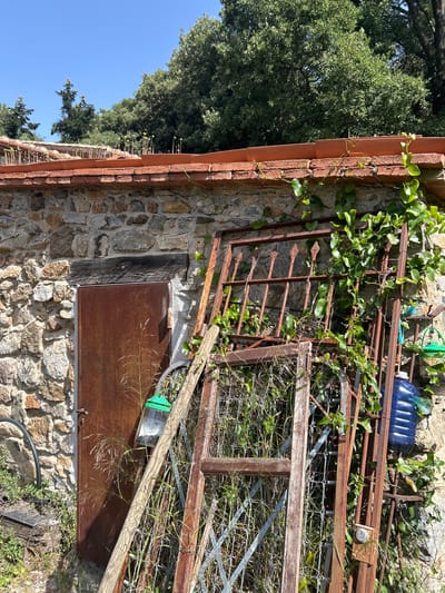 The image depicts an exterior view of a rustic stone building with a terracotta tiled roof under a clear blue sky. A weathered, rusty metal door is set into the stone wall. In front of the door and leaning against the wall are several old, rusty metal gates and a wooden beam. Green ivy is growing extensively over the metal gates and parts of the building. A large blue plastic water jug is hanging on a hook to the right of the door, next to one of the metal gates. Some dried grass and weeds are growing around the base of the structure and amongst the discarded gates. The scene appears to be in an outdoor, possibly rural or semi-rural setting, consistent with an area like Tordera, Spain, known for its natural landscapes and older architecture.