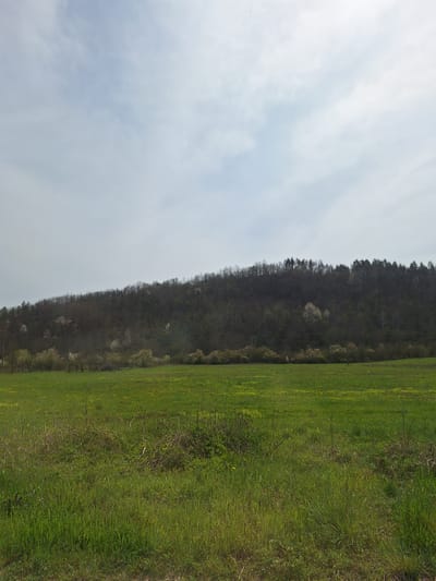 The image presents a view of the landscape. A green field of grass covers the right side of the frame. To the left of the field is a tree-covered hill. The sky with clouds is visible on the left side of the image.
The image does not contain any indicators as to the location in the city of Касапите, Bulgaria. The image does not contain people, subjects, objects, actions, or interactions.